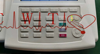 дюйм LCD запасных частей 4 показателей жизненно важных функций ECG больницы Mac 800 GE 12.5mm/S